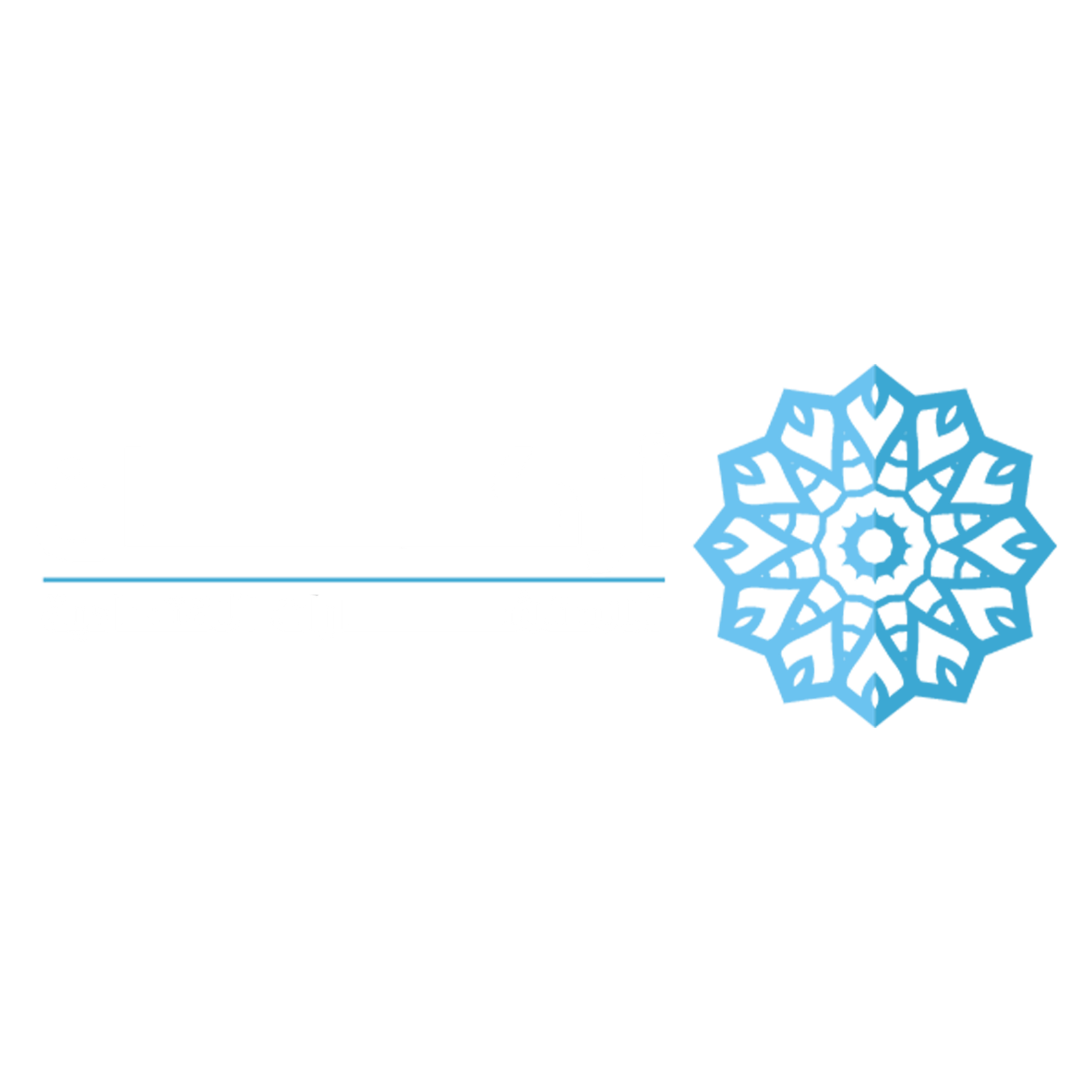 أركان لدراسات الجدوى